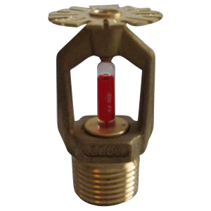 Picture of Product